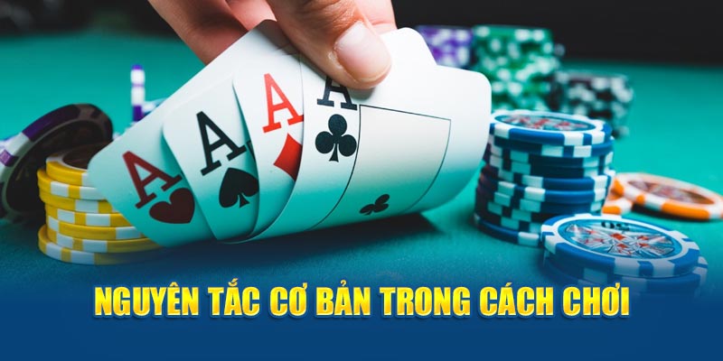 Luật chơi bài tấn cơ bản  